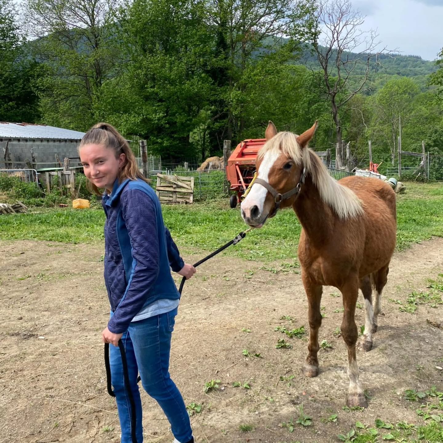 Balades à poneys — Écurie